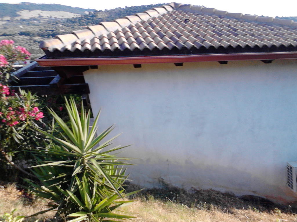 Affittacamere Valverde Di Naitana Rita Alghero Extérieur photo