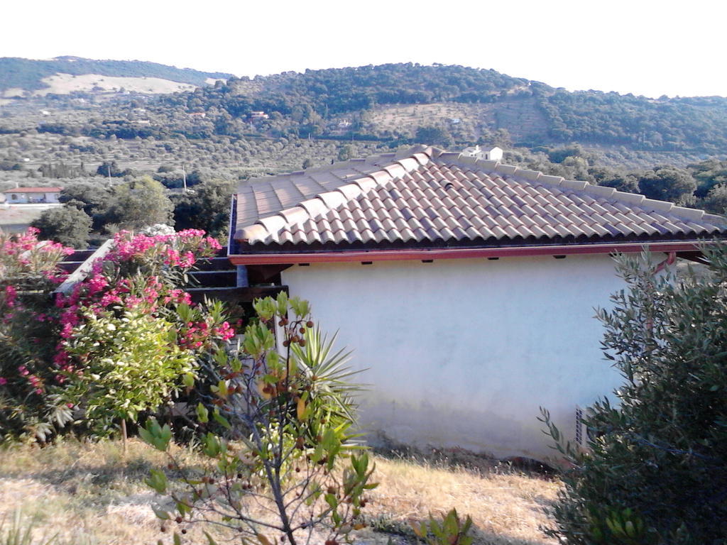 Affittacamere Valverde Di Naitana Rita Alghero Chambre photo